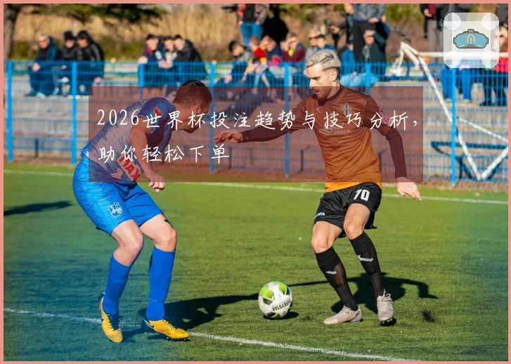 2026世界杯投注趋势与技巧分析，助你轻松下单