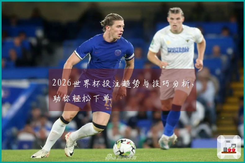 2026世界杯投注趋势与技巧分析，助你轻松下单