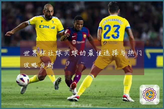 世界杯让球买球的最佳选择与热门攻略分析