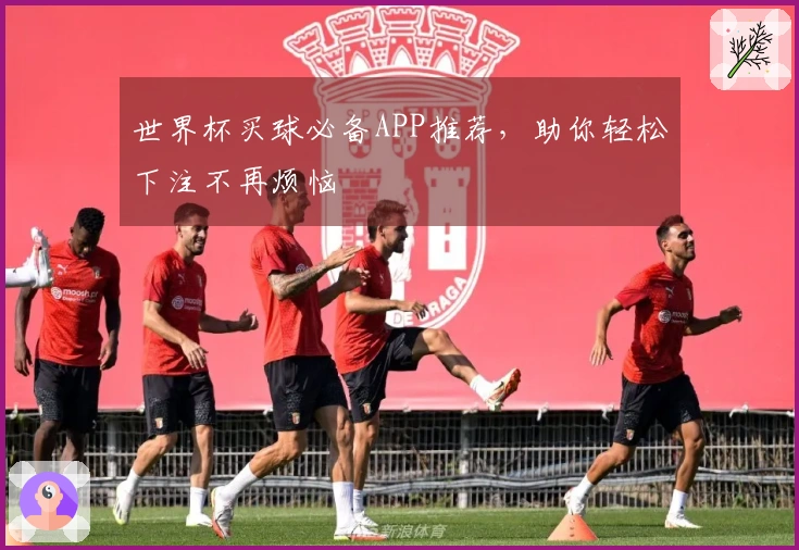 世界杯买球必备APP推荐，助你轻松下注不再烦恼